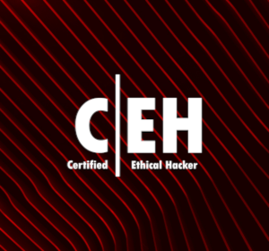 CEH v13 Bootcamp